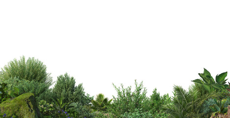 Plants and flowers on a transparent background