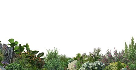 Fototapeta premium Plants and flowers on a transparent background