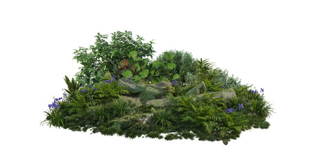 Garden with plants and stumps on a transparent background