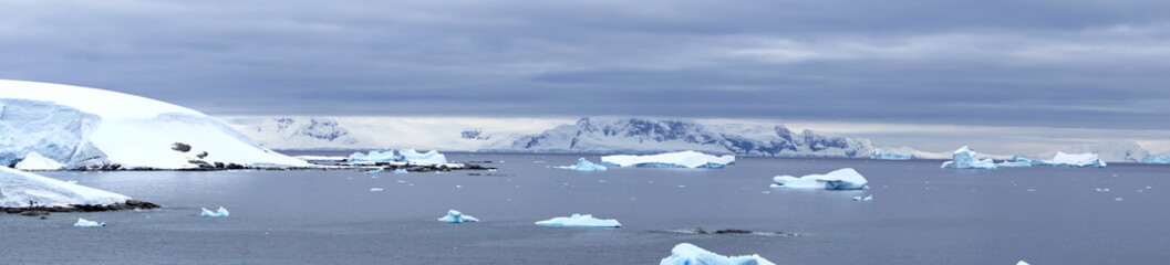 Panorama of icebergs floating in the bay at Portal Point, in Antarctica