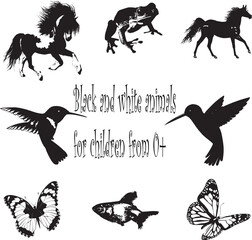 Obraz premium Black and white animals for children from 0+