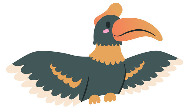 Cartoon Hornbill Illustration