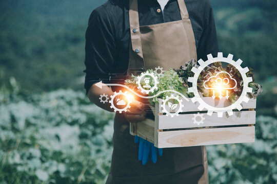 Futuristic Businessman Farms Vegetables And Crops Using Modern AI Technology Using Mobile Phones, Temperature And Humidity Sensors, Water Tracking, Climate Control, Holographic Data Data Icons.