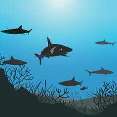 shark wallpaper vector shihouette