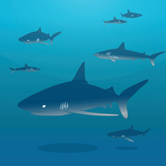 Fototapeta premium shark wallpaper vector shihouette 