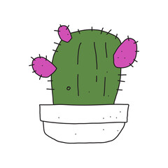 cute doodle cactus in a pot