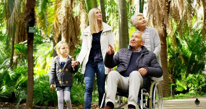 Family bonding on a walk in the park, beautiful garden or green nature with a senior man in a wheelchair together in summer. Mature, retired and happy male looking at the view in a natural area