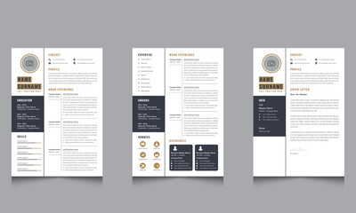 Professional Resume CV Template Layout and Creative Page Set
Design