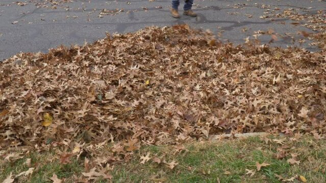 During the autumn, a worker from the municipality cleans fallen leaves near homes an uzing blower