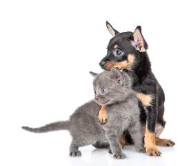 Friendly Toy terrier puppy embraces tiny black kitten. Pets look away on empty space. isolated on white background