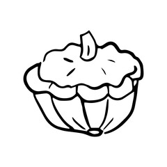 Squash icon Vector illustration on white background