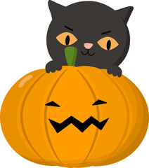 Black cat in witch costume