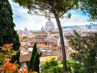 St. Peter Cathedral in Rome framed by trees and plants. Italy
