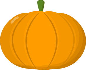 Pumpkin illustration