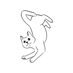 Lying cat black sketch. Playful cat in doodle style. Cute vector illustration isolated in white background