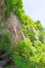 Fototapeta premium canyon in the mountains, panorama of the area, summer season, awakening in nature and the birth of a new day.