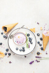 Organic blueberry ice-cream on neutral background.