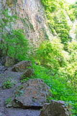 canyon in the mountains, panorama of the area, summer season, awakening in nature and the birth of a new day.