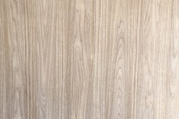 wood background and texture with copy space