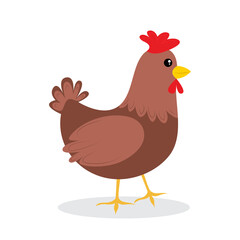 chicken vector illustration cartoon