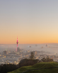 Sky Tower and Auckland city in the fog at sunrise, from Mount Eden summit. Vertical format.