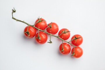 A branch of cherry tomatoes on a branch. White background.