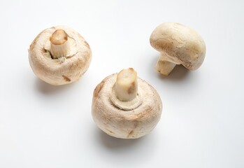 three fresh champignons on a white background