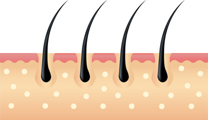 Hair skin Icon. Hair symbol vector