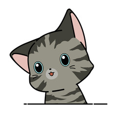funny cat cartoon