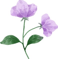 Fototapeta premium Watercolor Flower Illustration