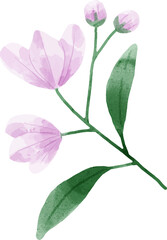 Watercolor Flower Illustration