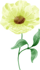 Watercolor Flower Illustration