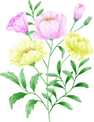 Watercolor Flower Illustration