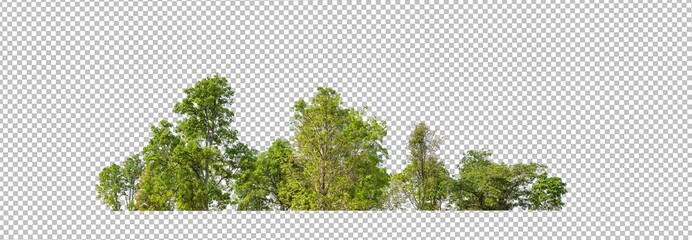 Green trees isolated on transparent background forest and summer foliage for both print and web...