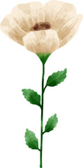 Watercolor Flower Illustration