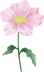 Watercolor Flower Illustration