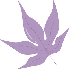 Purple maple leaves.