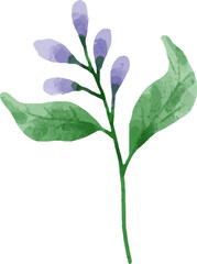 Watercolor Flower Bouquet