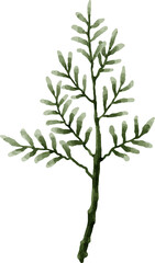 Hand painted watercolor leaves