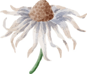 Watercolor Flower Bouquet