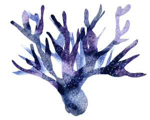 watercolor coral reef  , under ocean life with transparent background © jenjira