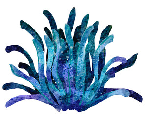 watercolor coral reef  , under ocean life with transparent background © jenjira