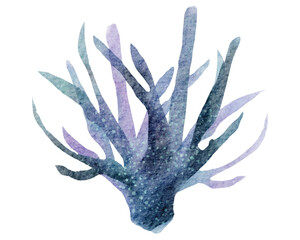 watercolor coral reef  , under ocean life with transparent background © jenjira