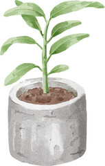 Watercolor Plant in Pot