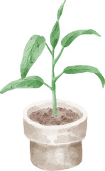 Watercolor Plant in Pot