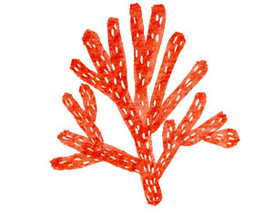 watercolor coral reef  , under ocean life with transparent background © jenjira