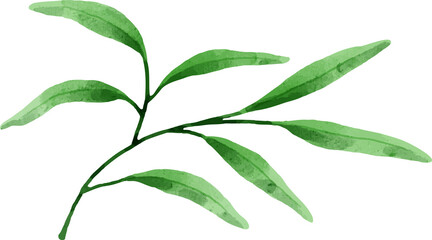 Hand painted watercolor leaves