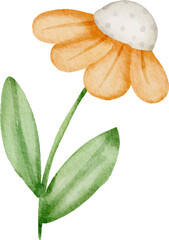 Watercolor Flower Bouquet