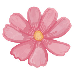 Watercolor cosmos flower, Pink flora clipart.