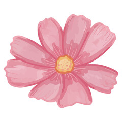 Watercolor cosmos flower, Pink flora clipart.